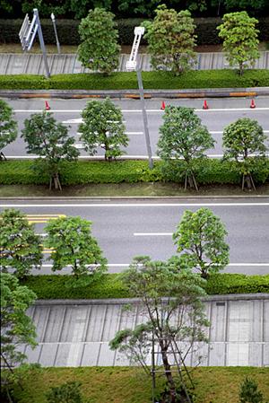 2026年最新｜稲沢市で未使用車をお得に購入するための完全ガイド