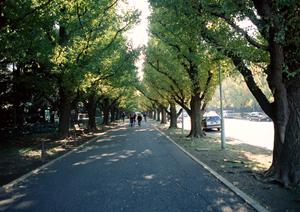市一色町で車検を受けるのにおすすめ