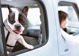 車検即日サービスを提供しているお店