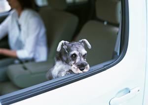 自動車の鈑金過程のコストカット