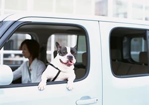 久留米市で最安値の車検の見つけ方