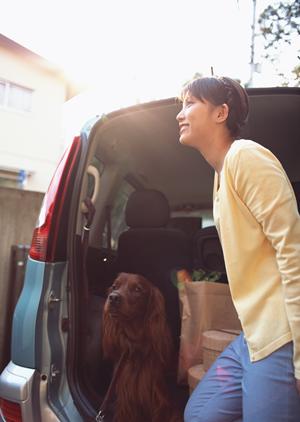 海外の車のカバーを売る正規代理店